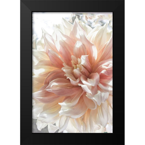 Dazzle Black Modern Wood Framed Art Print by Stalus, Judy