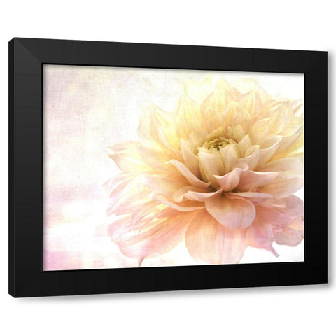 Golden Touch Black Modern Wood Framed Art Print by Stalus, Judy