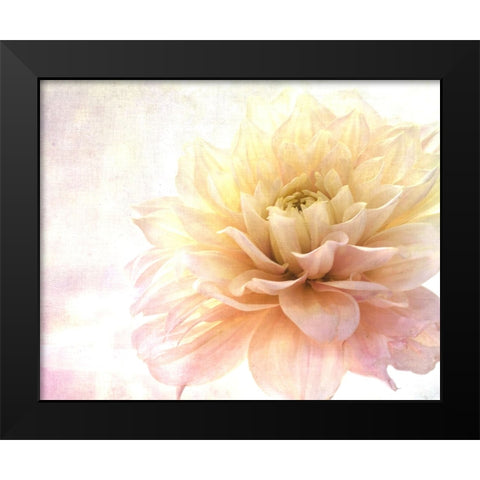Golden Touch Black Modern Wood Framed Art Print by Stalus, Judy