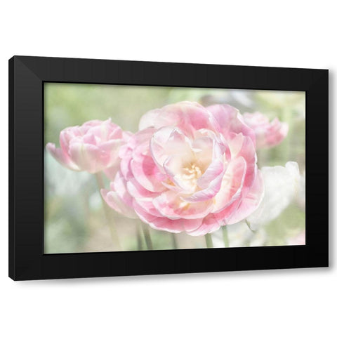 Tulips Black Modern Wood Framed Art Print by Stalus, Judy