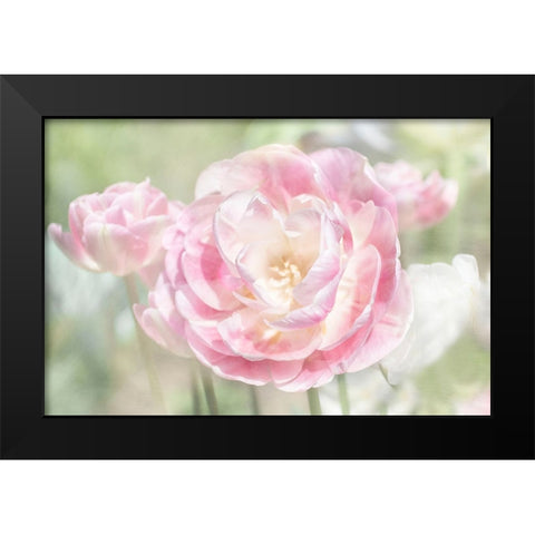 Tulips Black Modern Wood Framed Art Print by Stalus, Judy