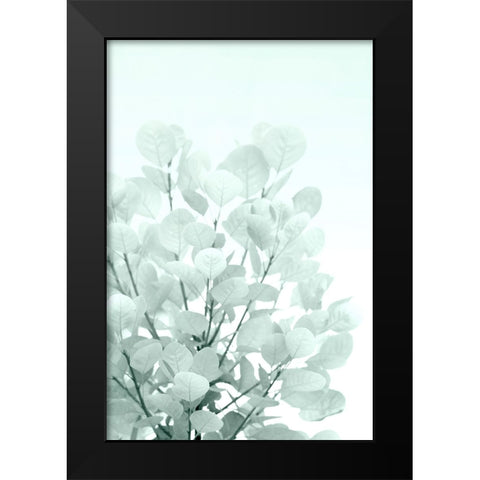 Sweet Shrub Black Modern Wood Framed Art Print by Stalus, Judy