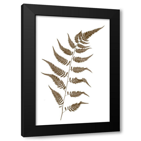 Fern Black Modern Wood Framed Art Print with Double Matting by Stalus, Judy