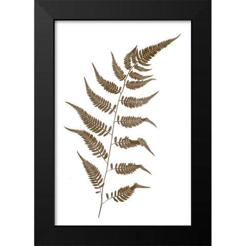 Fern Black Modern Wood Framed Art Print by Stalus, Judy