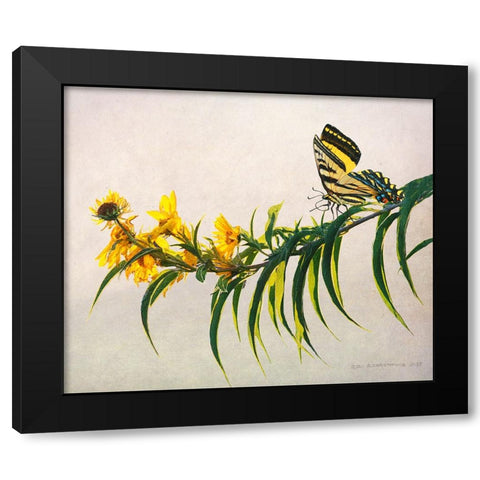 Yellow Flowers Variation Black Modern Wood Framed Art Print with Double Matting by Vest, Christopher