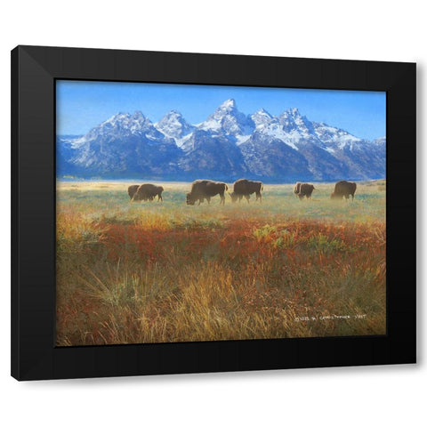 Meadow Grass Grand Teton Black Modern Wood Framed Art Print with Double Matting by Vest, Christopher