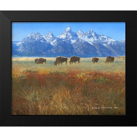 Meadow Grass Grand Teton Black Modern Wood Framed Art Print by Vest, Christopher