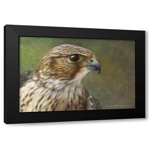Merlin Portrait Black Modern Wood Framed Art Print with Double Matting by Vest, Christopher