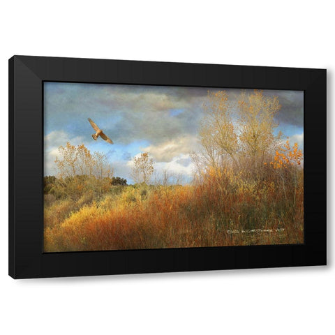 Willow Cottonwood Gulley Black Modern Wood Framed Art Print by Vest, Christopher