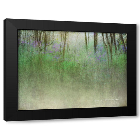 Glimpse of the Lake Black Modern Wood Framed Art Print with Double Matting by Vest, Christopher