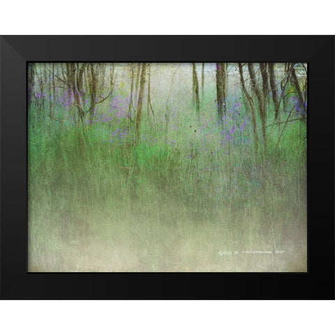 Glimpse of the Lake Black Modern Wood Framed Art Print by Vest, Christopher