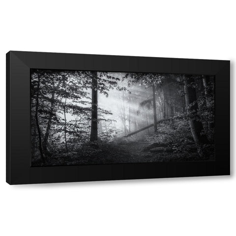 point of no return Black Modern Wood Framed Art Print by Maier, Norbert