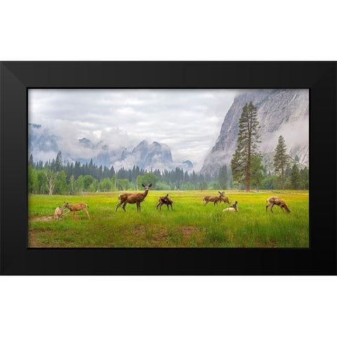 A Feeling of Ancient Time Black Modern Wood Framed Art Print by Mao, Dianne