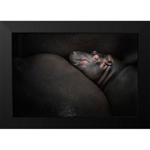 Dreamin Black Modern Wood Framed Art Print by Vales, Zdenek