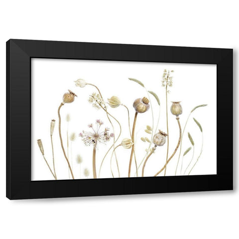 Pods Black Modern Wood Framed Art Print with Double Matting by Disher, Mandy