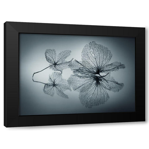 Ephemeral Beauty Black Modern Wood Framed Art Print with Double Matting by Kowatari, Shihya