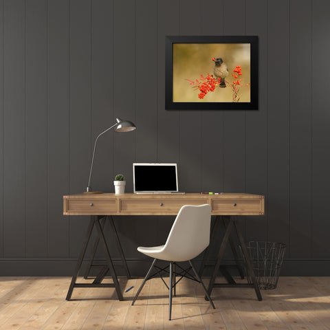 Bulbul with Nandina Black Modern Wood Framed Art Print by Waldmann, Shlomo