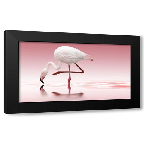 Flamingo Black Modern Wood Framed Art Print with Double Matting by Reindl, Doris