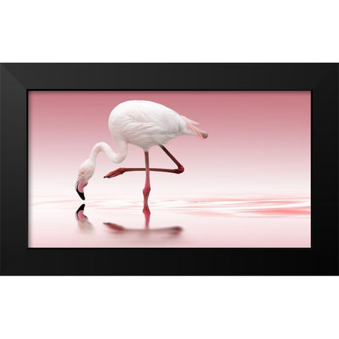 Flamingo Black Modern Wood Framed Art Print by Reindl, Doris