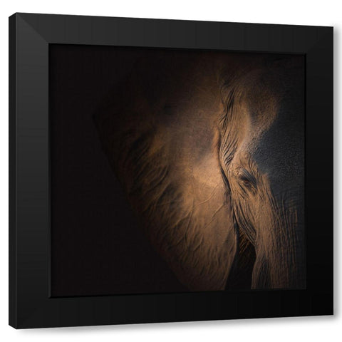 Gentle Giant Black Modern Wood Framed Art Print with Double Matting by Wolbers, Louise