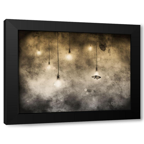 attraction Black Modern Wood Framed Art Print with Double Matting by Hummel, Jeffrey