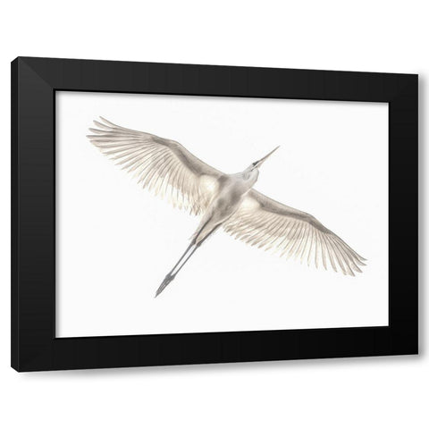 Fly Black Modern Wood Framed Art Print by Or, Keren