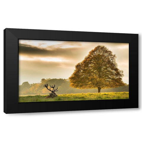 Untitled Black Modern Wood Framed Art Print with Double Matting by Thomas, Tudor