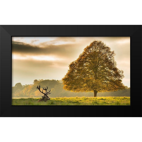 Untitled Black Modern Wood Framed Art Print by Thomas, Tudor