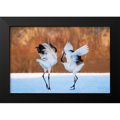The dance of love Black Modern Wood Framed Art Print by Mei, C.