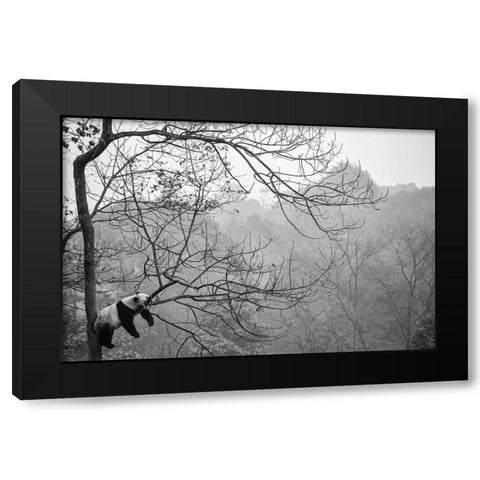 Relax Black Modern Wood Framed Art Print by Catta, Alessandro