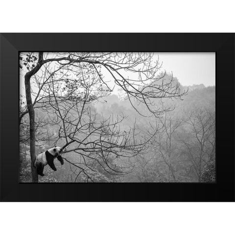 Relax Black Modern Wood Framed Art Print by Catta, Alessandro