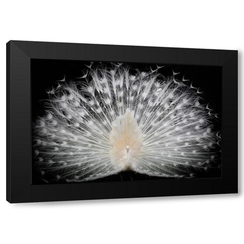 black and white Black Modern Wood Framed Art Print by Liddi, Pino