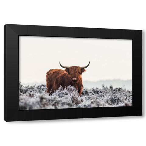 Highlander Black Modern Wood Framed Art Print with Double Matting by Van Den, Jaap