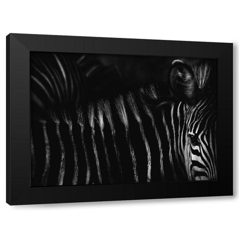 Untitled Black Modern Wood Framed Art Print by Grambone, Antonio