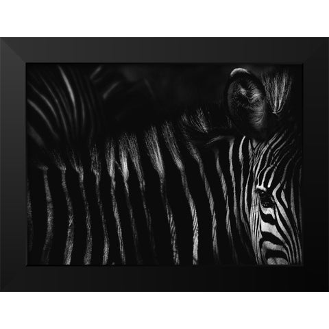 Untitled Black Modern Wood Framed Art Print by Grambone, Antonio