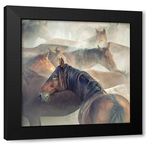 Tired Horses Black Modern Wood Framed Art Print with Double Matting by Taskin, Huseyin