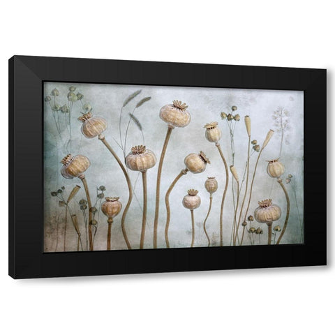 Papaver Black Modern Wood Framed Art Print with Double Matting by Disher, Mandy