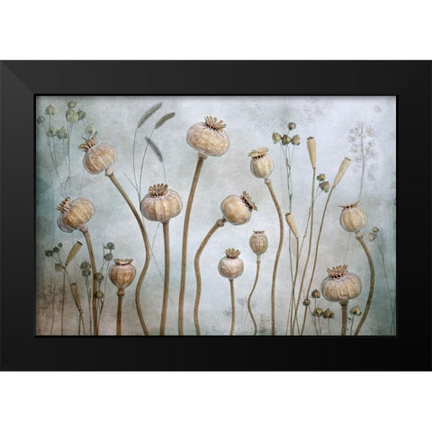 Papaver Black Modern Wood Framed Art Print by Disher, Mandy