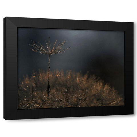 Standing toward the light Black Modern Wood Framed Art Print with Double Matting by Dufour, Thierry