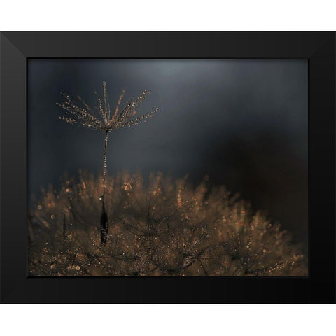 Standing toward the light Black Modern Wood Framed Art Print by Dufour, Thierry
