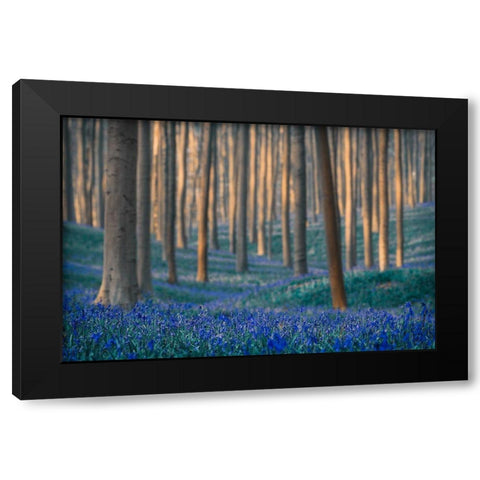 Dreams are made of these Black Modern Wood Framed Art Print with Double Matting by Popan, Adrian
