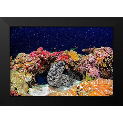 Under the Star Black Modern Wood Framed Art Print by Marchegiani, Roberto