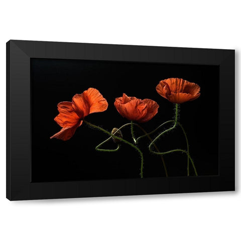 Around Midnight #2 Black Modern Wood Framed Art Print with Double Matting by Lenka