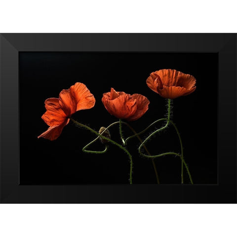 Around Midnight #2 Black Modern Wood Framed Art Print by Lenka