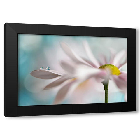 Tiny duo Black Modern Wood Framed Art Print with Double Matting by Westum, Heidi