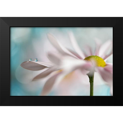 Tiny duo Black Modern Wood Framed Art Print by Westum, Heidi