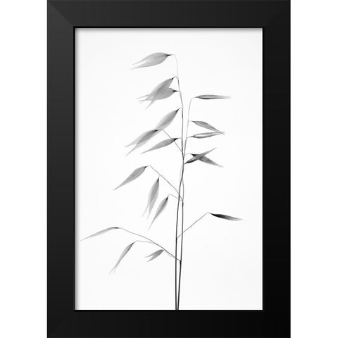 Sharpness of the nature Black Modern Wood Framed Art Print by Lagandre, Thierry