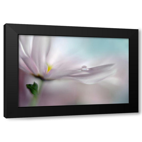 Where dreams come true Black Modern Wood Framed Art Print by Westum, Heidi