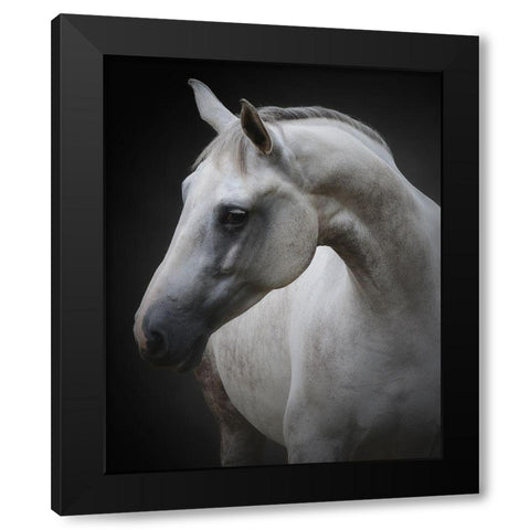 Maggie Black Modern Wood Framed Art Print by Avivi, Avishai