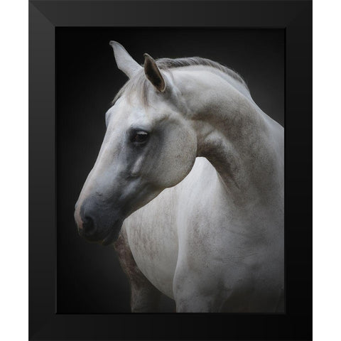 Maggie Black Modern Wood Framed Art Print by Avivi, Avishai